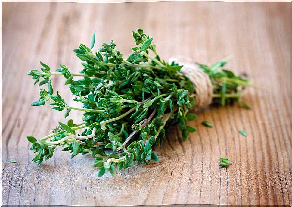 thyme