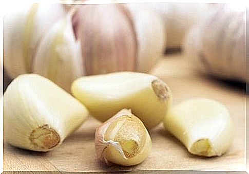 garlic is a good protector against a poor immune system due to allergies