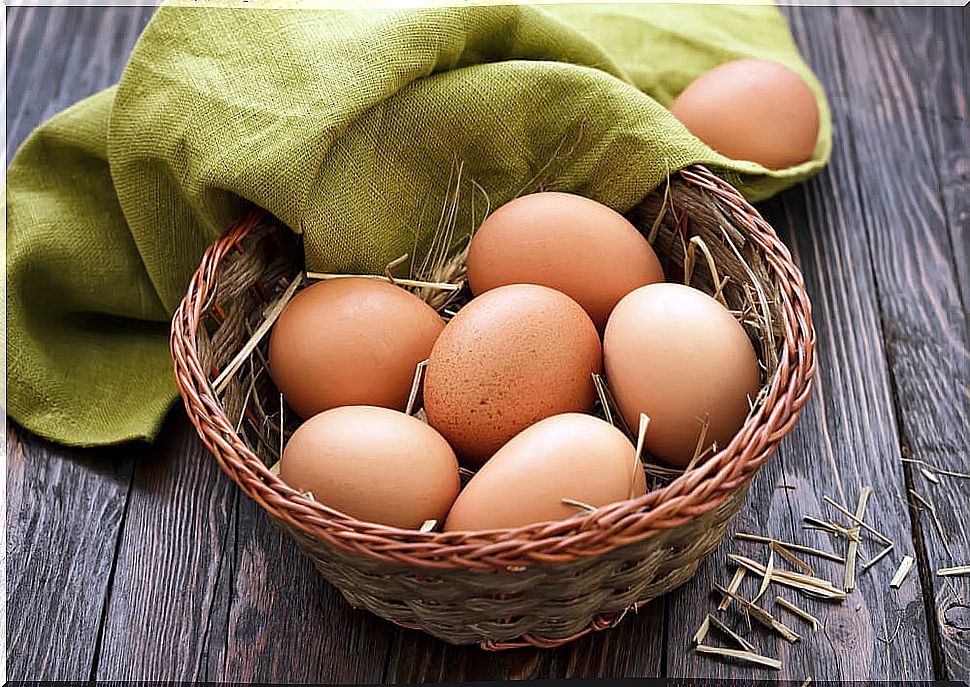 What damage can bad eggs cause to the human body?