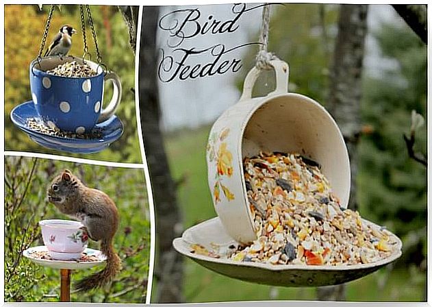 bird feeder