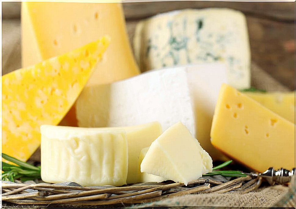 Types of cheese