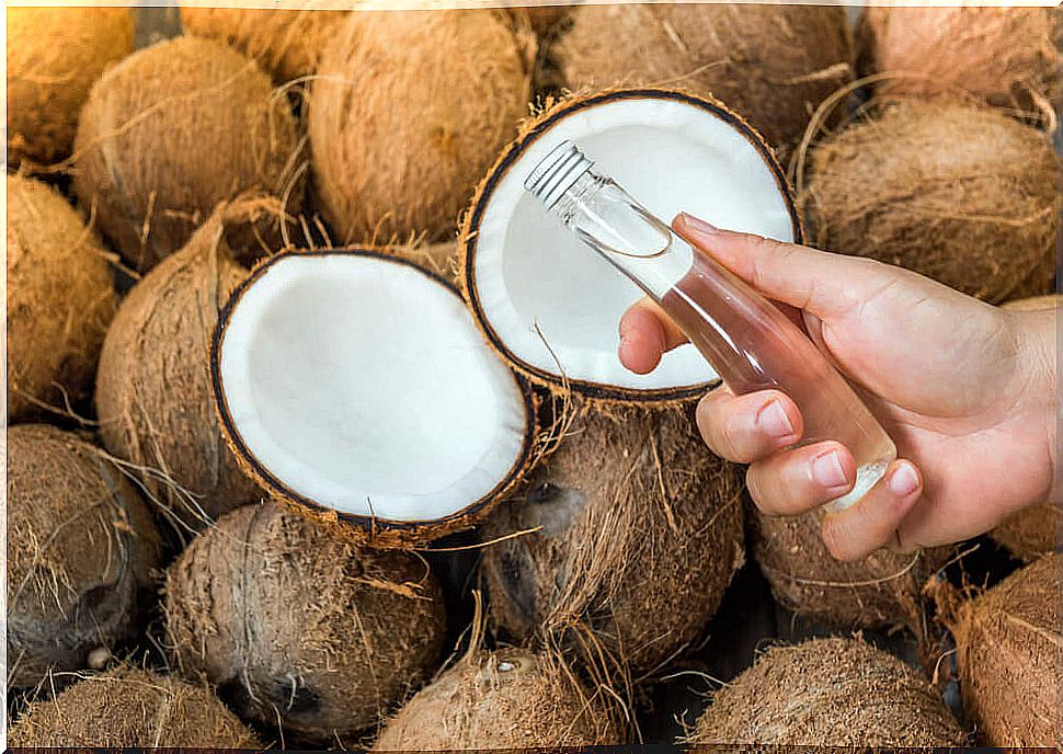 Aloe and coconut to thicken the eyebrows