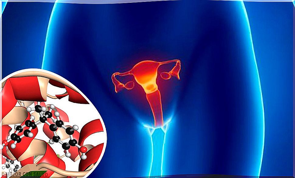 Estradiol is one of the 6 hormones involved in the ovulation cycle