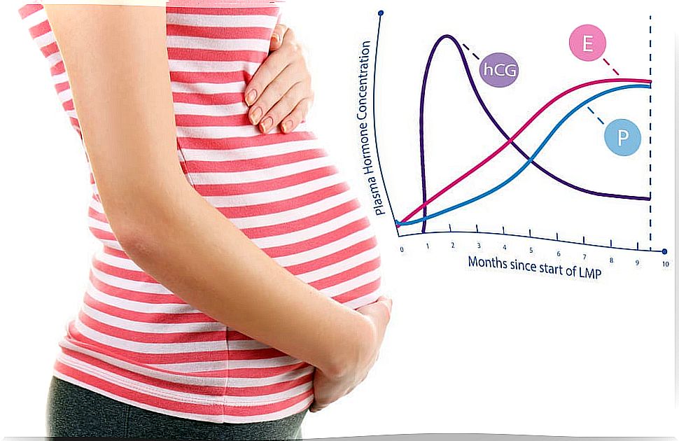 Chart with some of the hormones involved in the ovulation cycle.