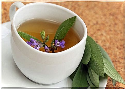 infusion-of-sage-to-control-sweating