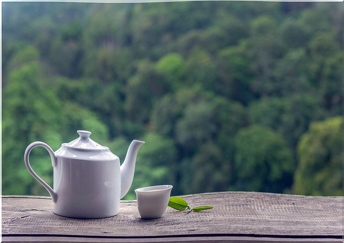 How much caffeine does white tea contain?