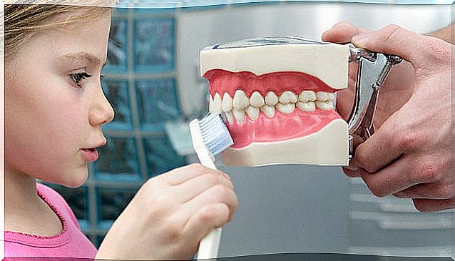 Little girl brushing teeth to a mouth model.