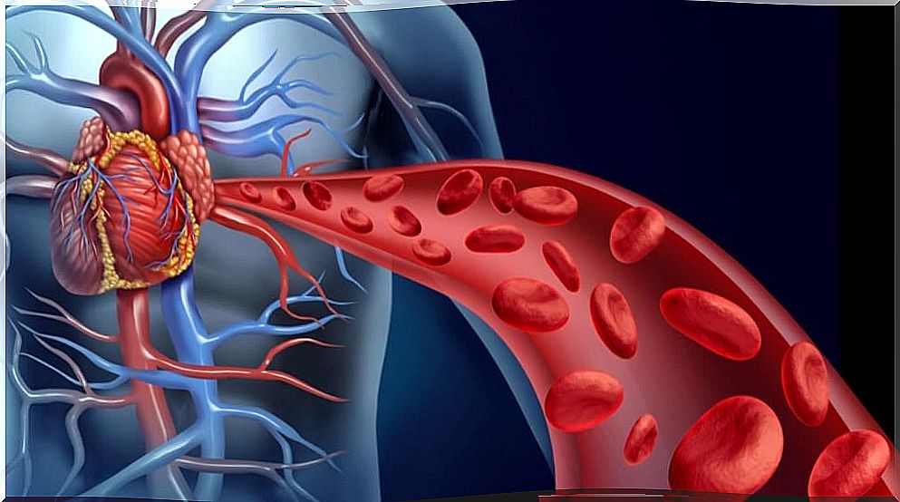 Blood circulation