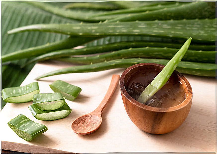 Wooden bowl with aloe vera