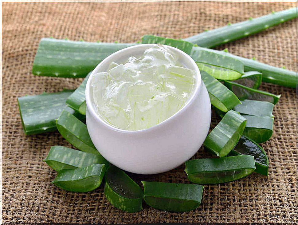 aloe-vera-accelerates-wound-healing