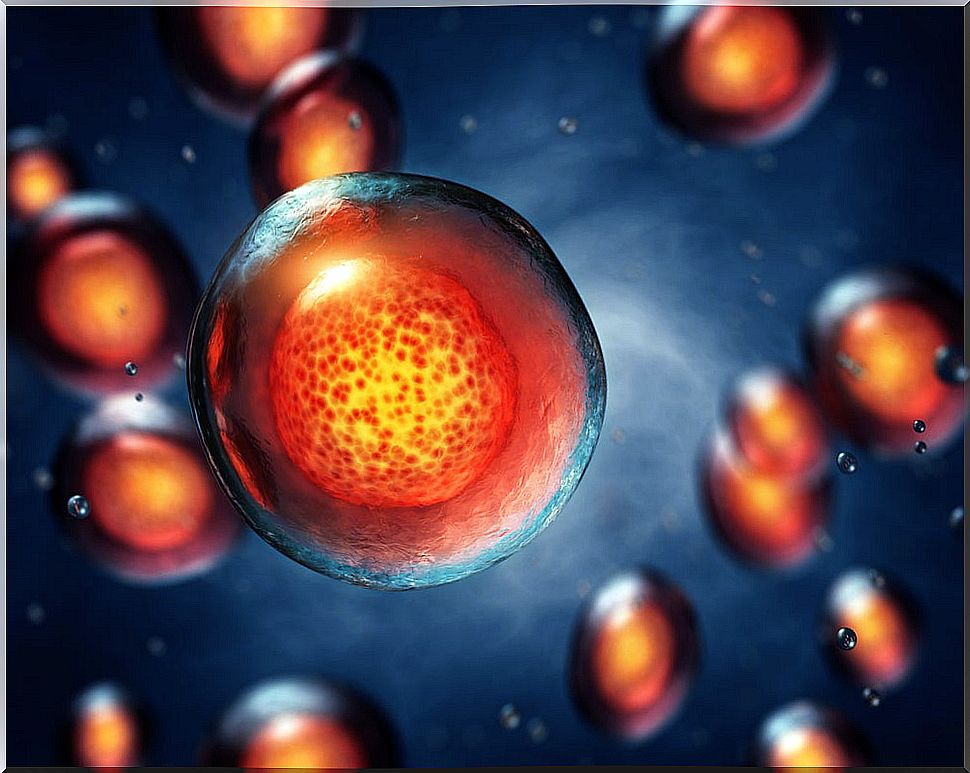 Stem cell differentiation