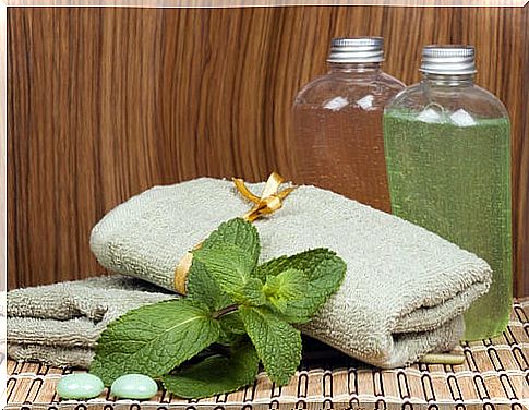 Mint shampoo recipe I for oily hair