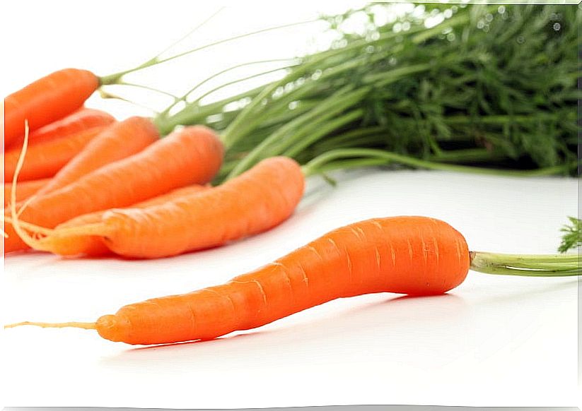  Carrots also contain healthy levels of minerals such as copper, calcium, potassium, manganese, and phosphorus.