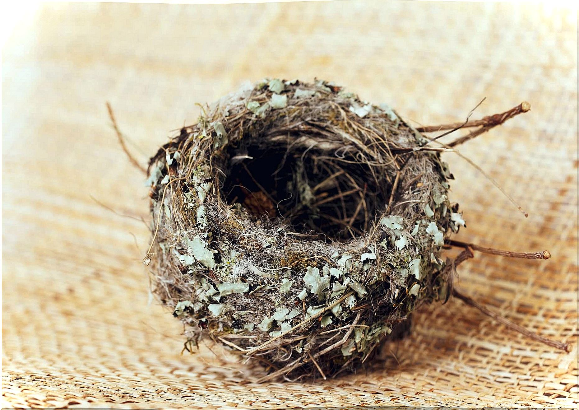 The empty nest syndrome: when loneliness permeates the home