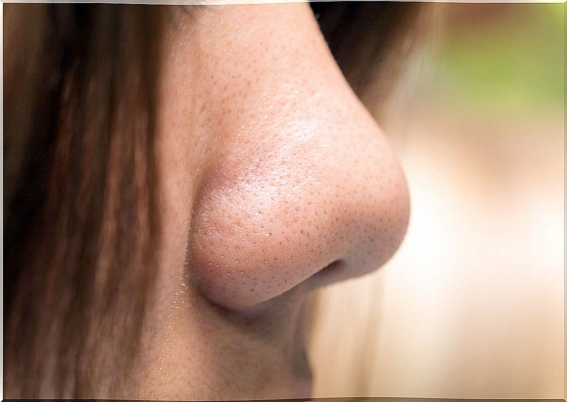 Types of nose: what is yours?