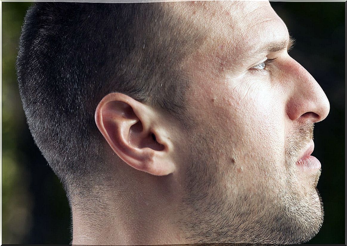 Profile nose of man.