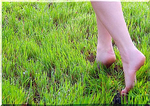 Barefoot walking qualities for the mind